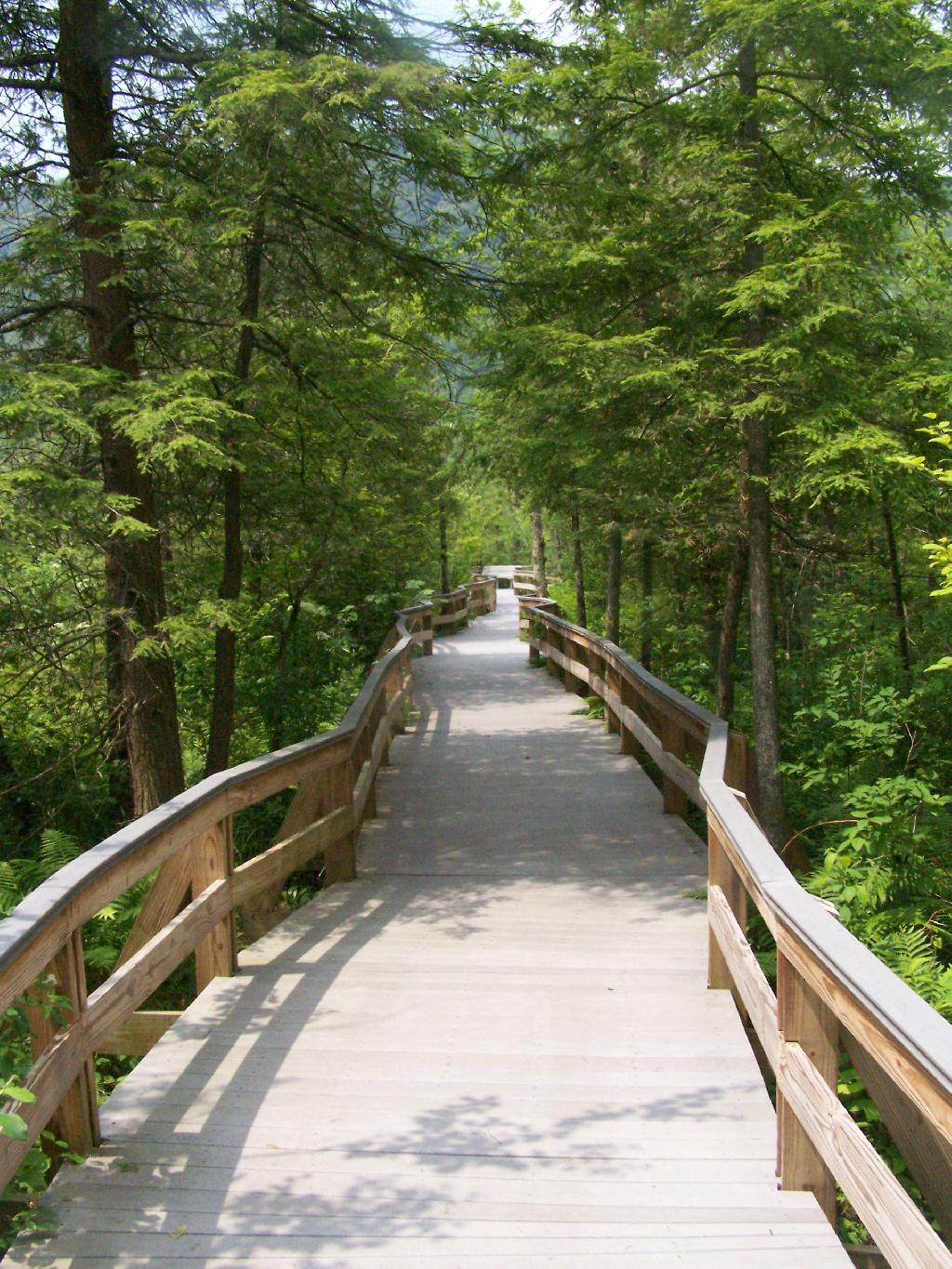 Photo: Labrador Hollow Board Walk Photo: Labrador Hollow Board Walk