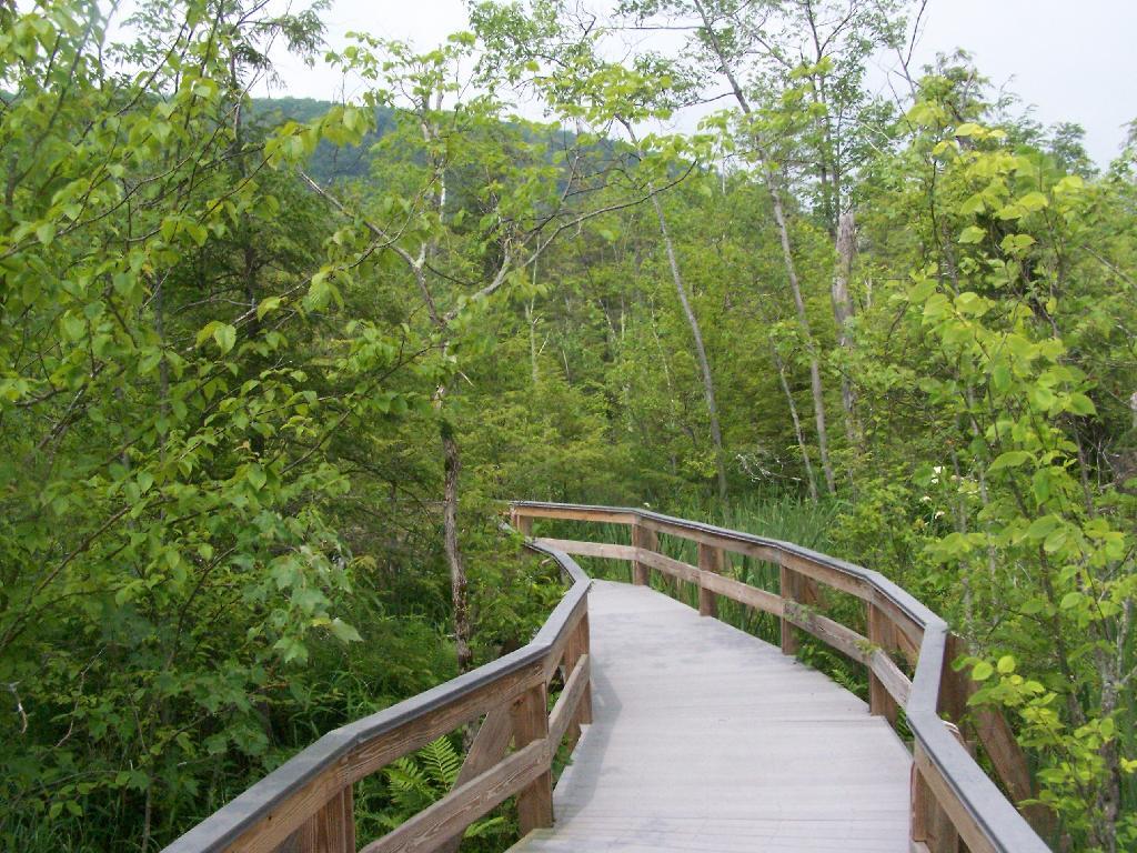 Photo: Along the Board Walk