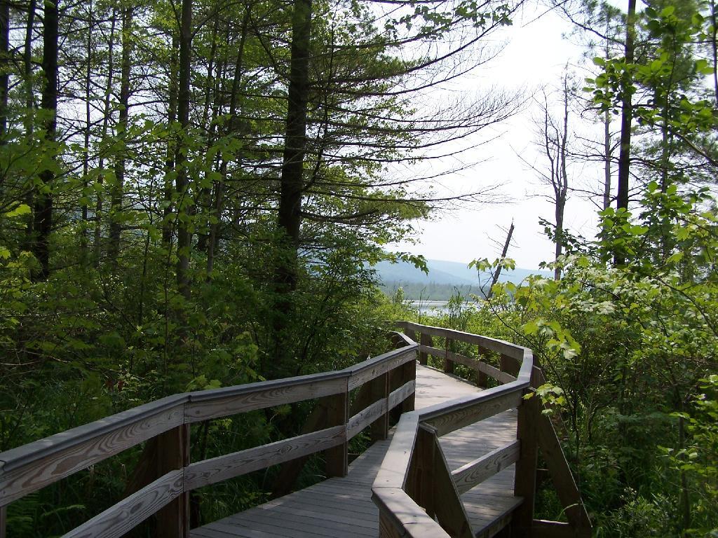 Photo: South Along Boardwalk Photo: South Along Boardwalk