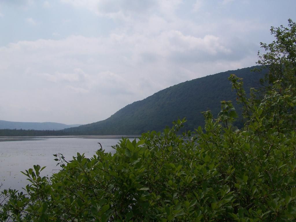 Photo: Pond and Hill
