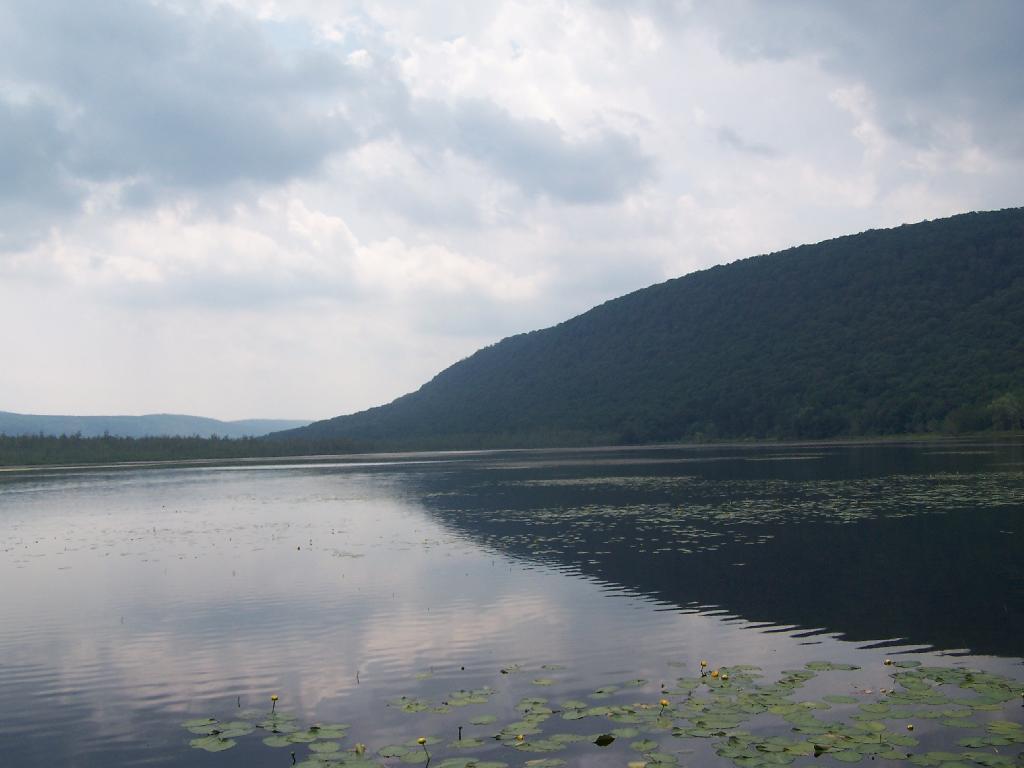 Photo: Jones Hill Reflection Photo: Jones Hill Reflection