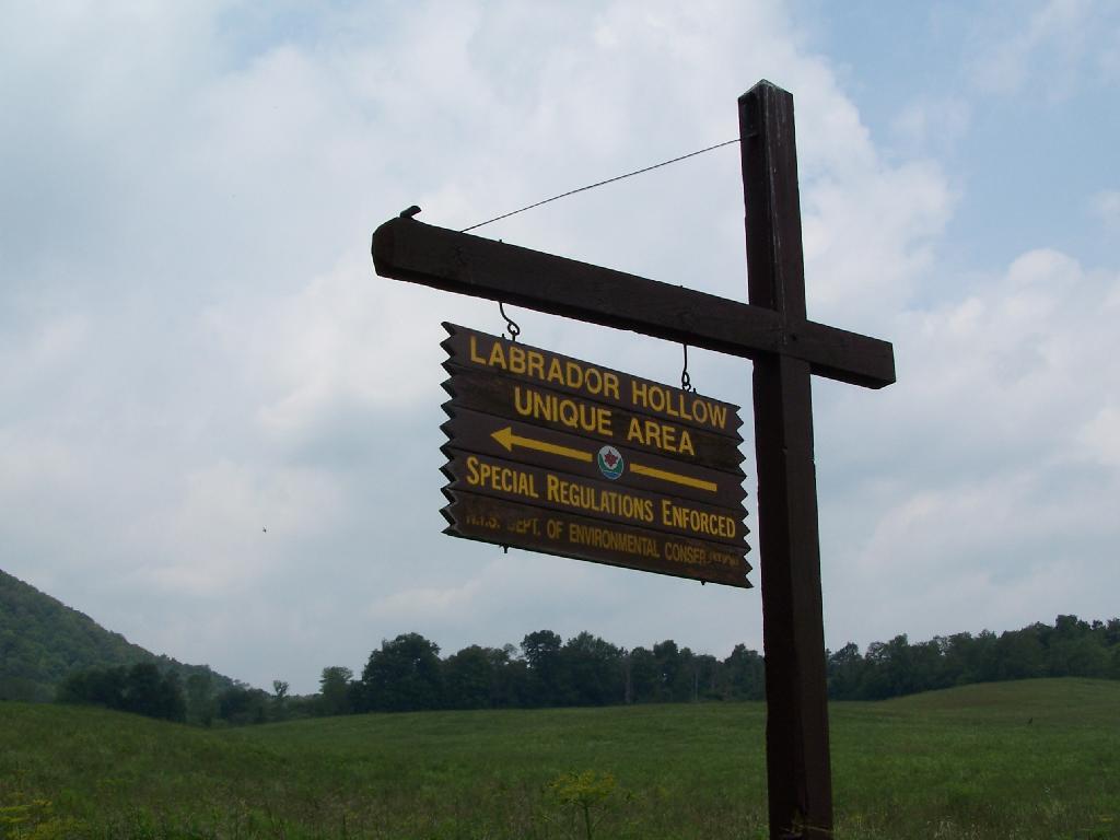 Photo: Labrador Hollow Sign