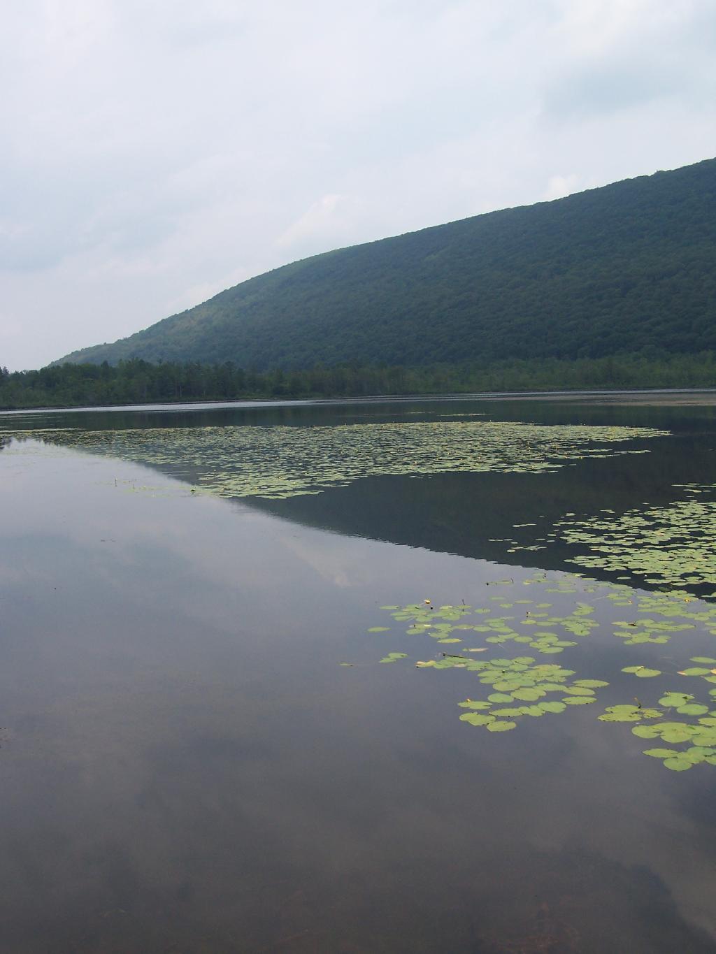 Photo: Reflection to a Point Photo: Reflection to a Point