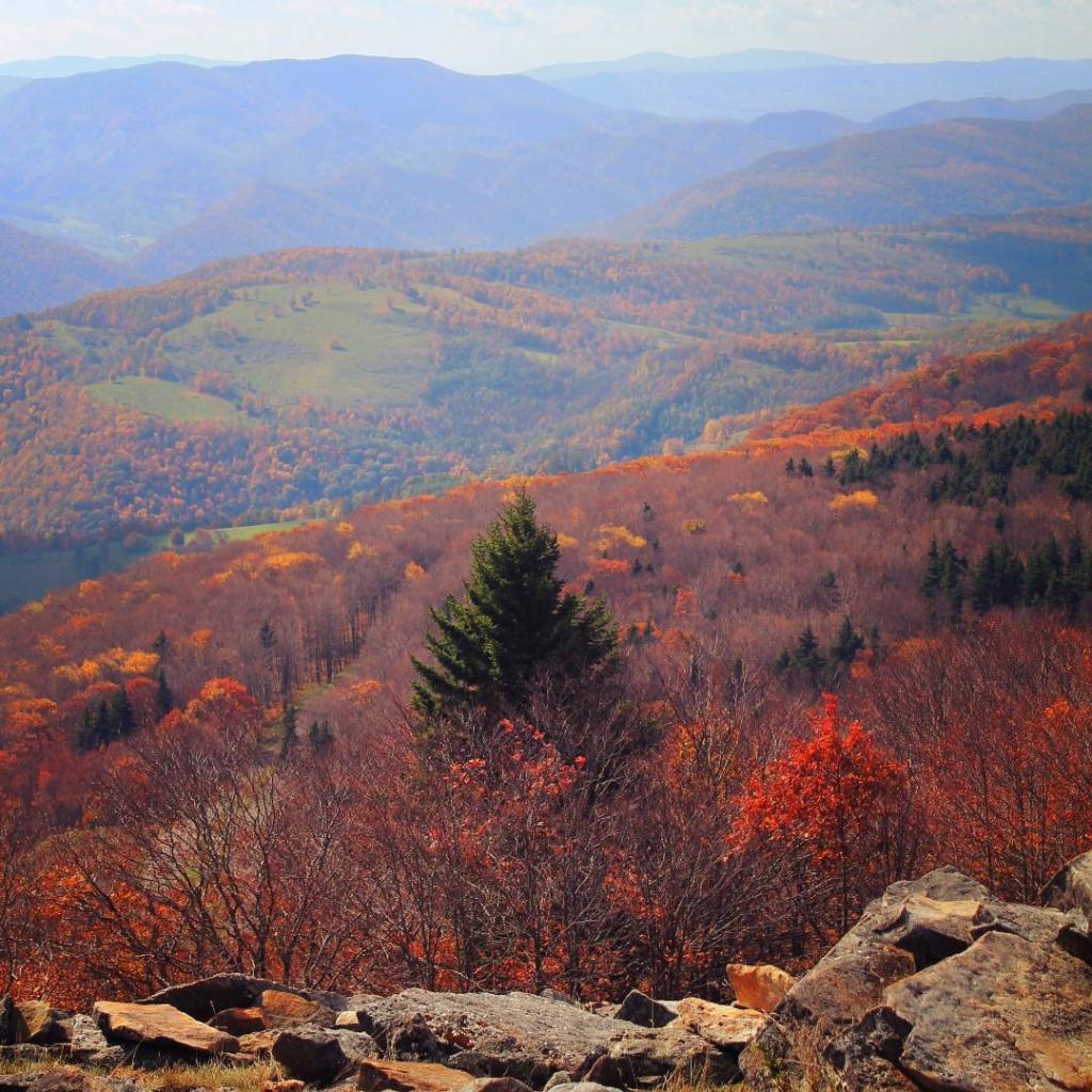 Photo: From Spruce Knob Mountain [Expires October 19 2026]