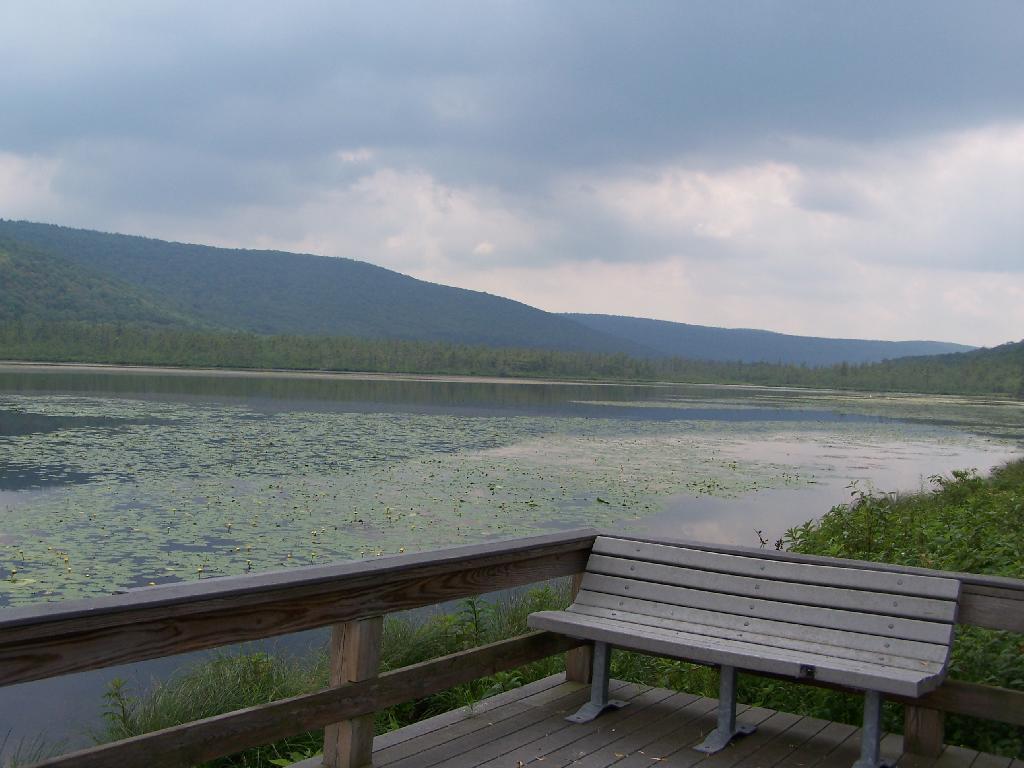 Photo: Bench on Pond's Edge Photo: Bench on Pond's Edge