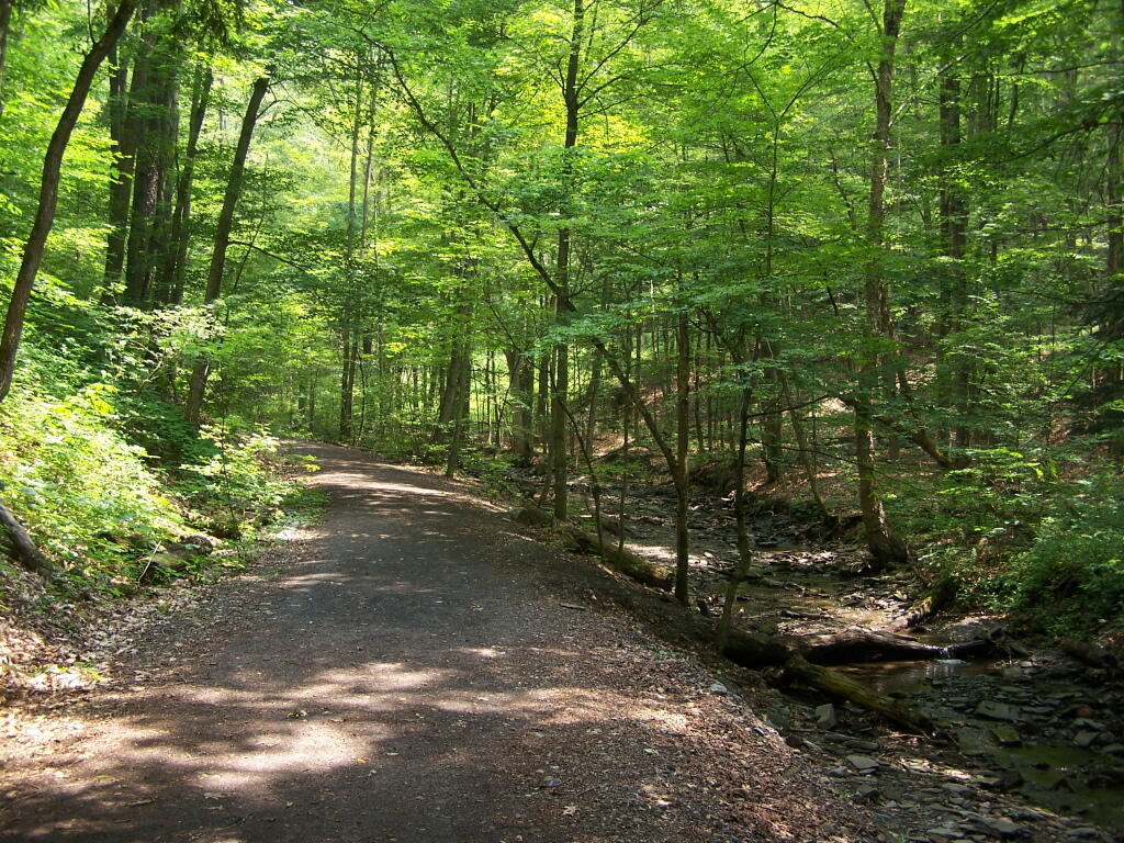 Photo: Tinker Falls Trail Photo: Tinker Falls Trail
