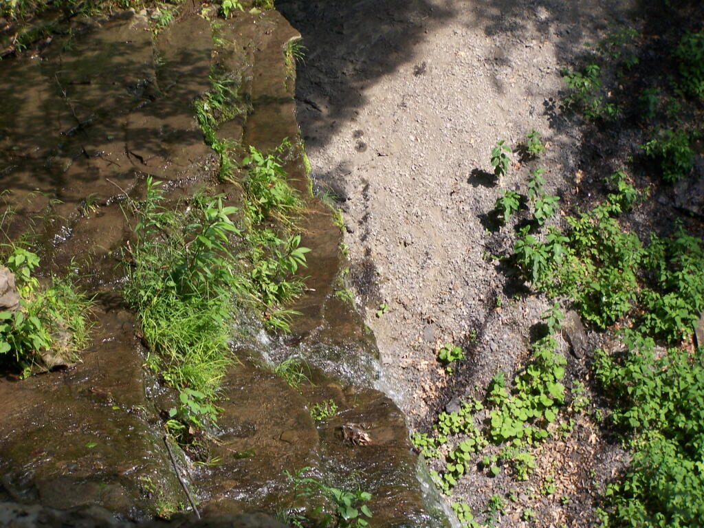 Photo: Looking Over Tinker Falls
