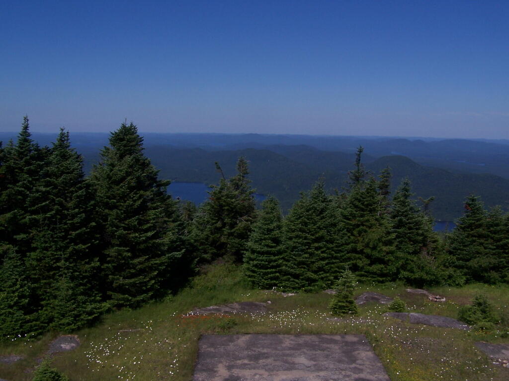 Photo: West