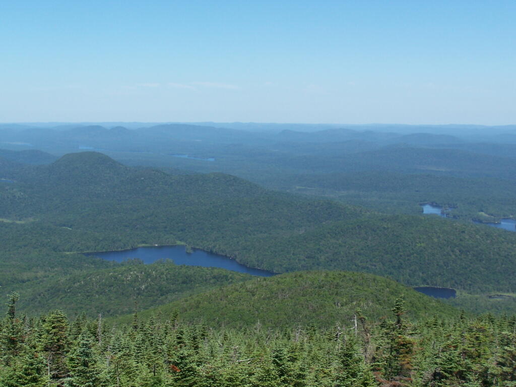 Photo: Cedar River Flow