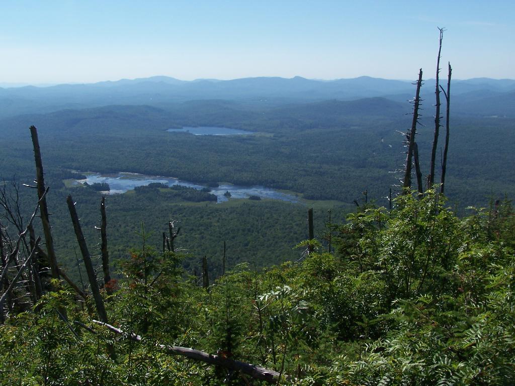 Photo: Lake Durant and Moose River Plains