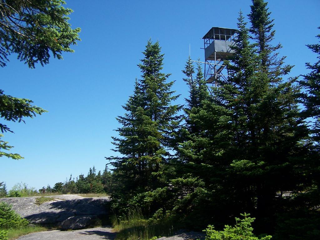 Photo: First View of Tower