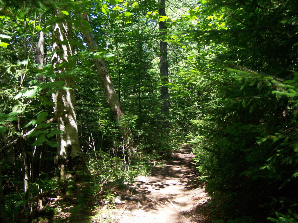 Photo: Trail