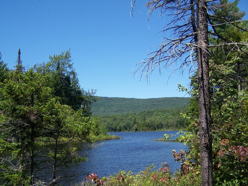 Photo: Wakely Pond