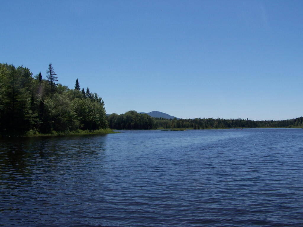 Photo: Cedar River Flow Photo: Cedar River Flow