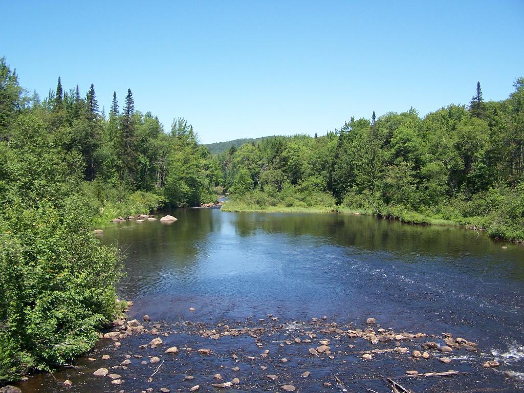 Photo: Otherside of Dam at Cedard River Flow