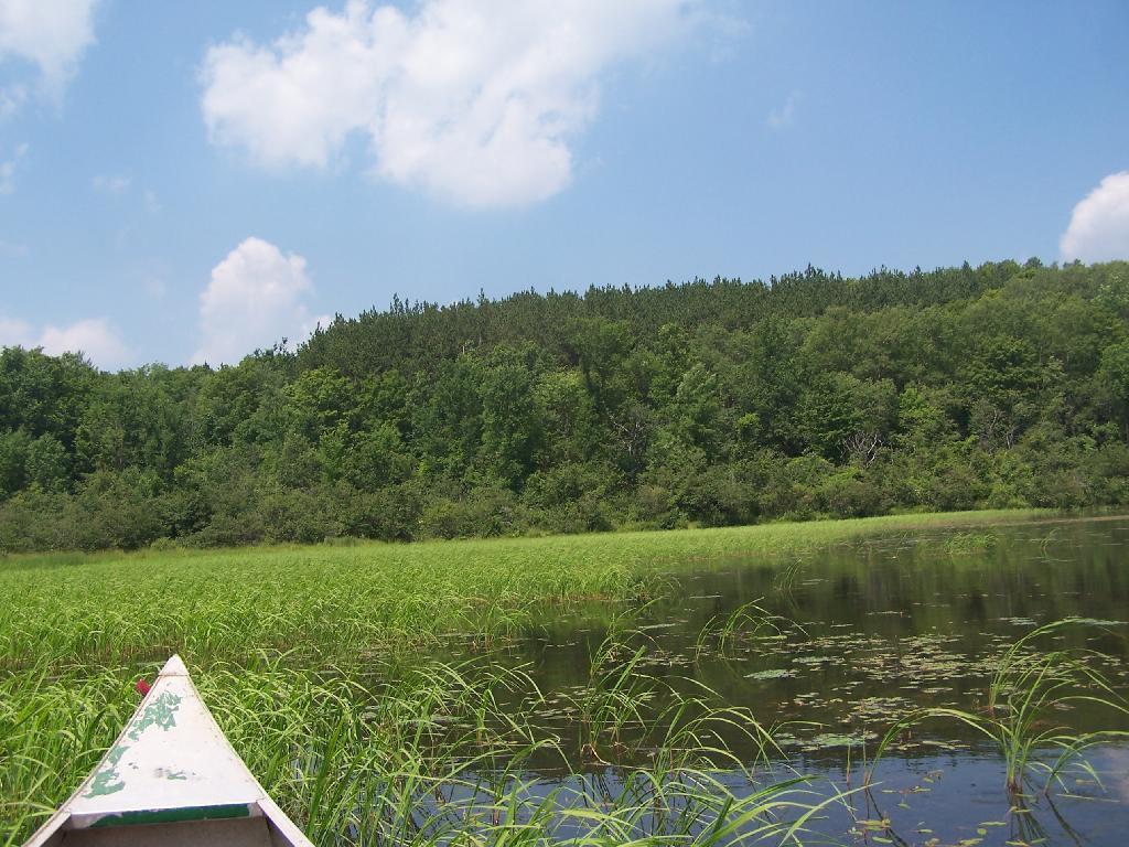Photo: Paddling Around