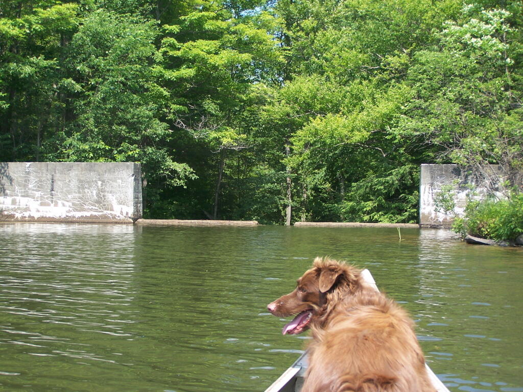 Photo: Fawn Lake Dam Photo: Fawn Lake Dam