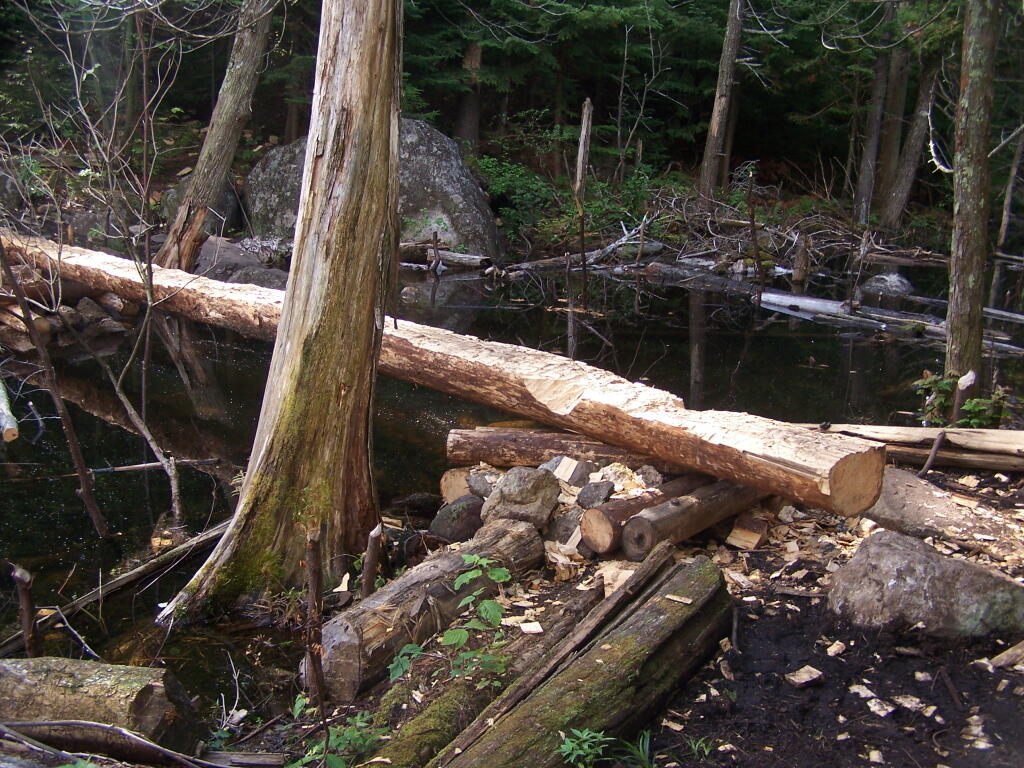 Photo: Foot Bridge