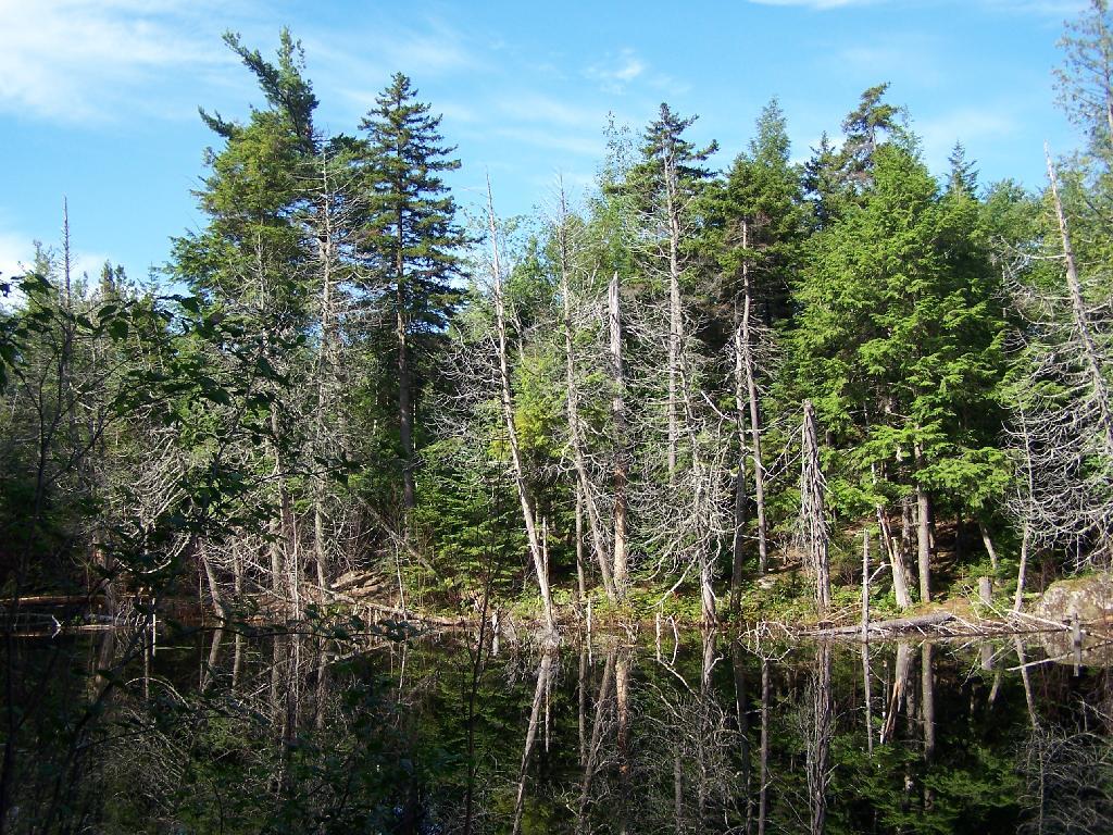 Photo: Southern End of Washbowl