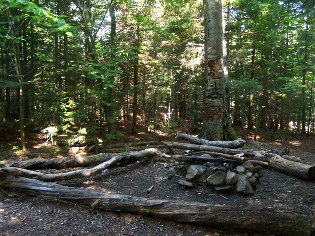 Photo: Second Campsite at Washbowl Photo: Second Campsite at Washbowl