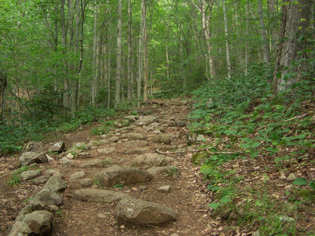 Photo: Rougher Part of the Trail