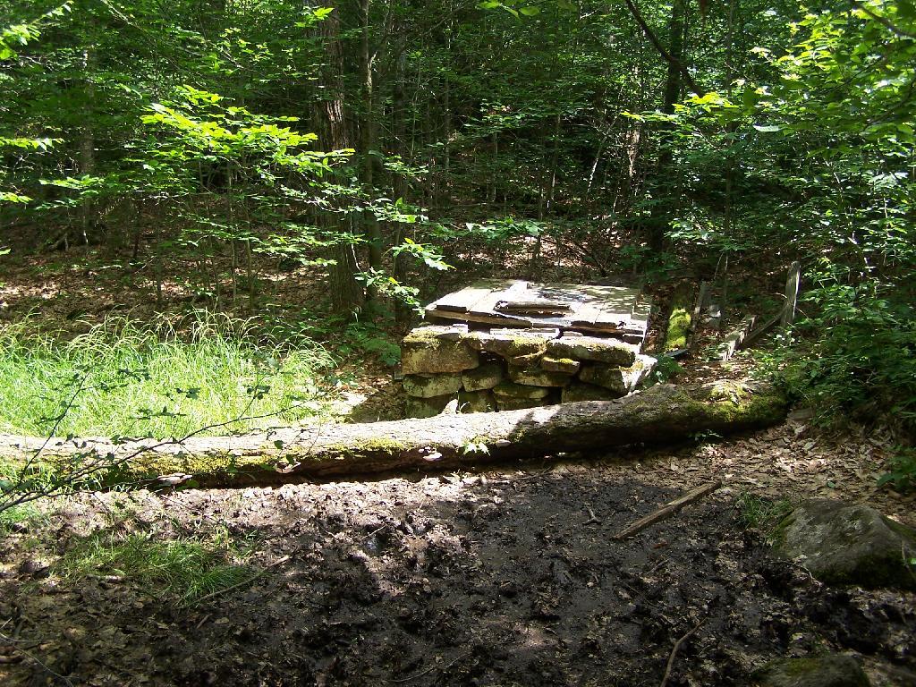 Photo: Old Well