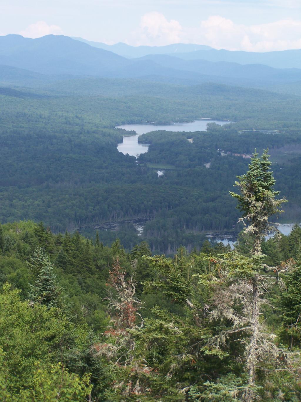 Photo: Newcomb Lake Photo: Newcomb Lake