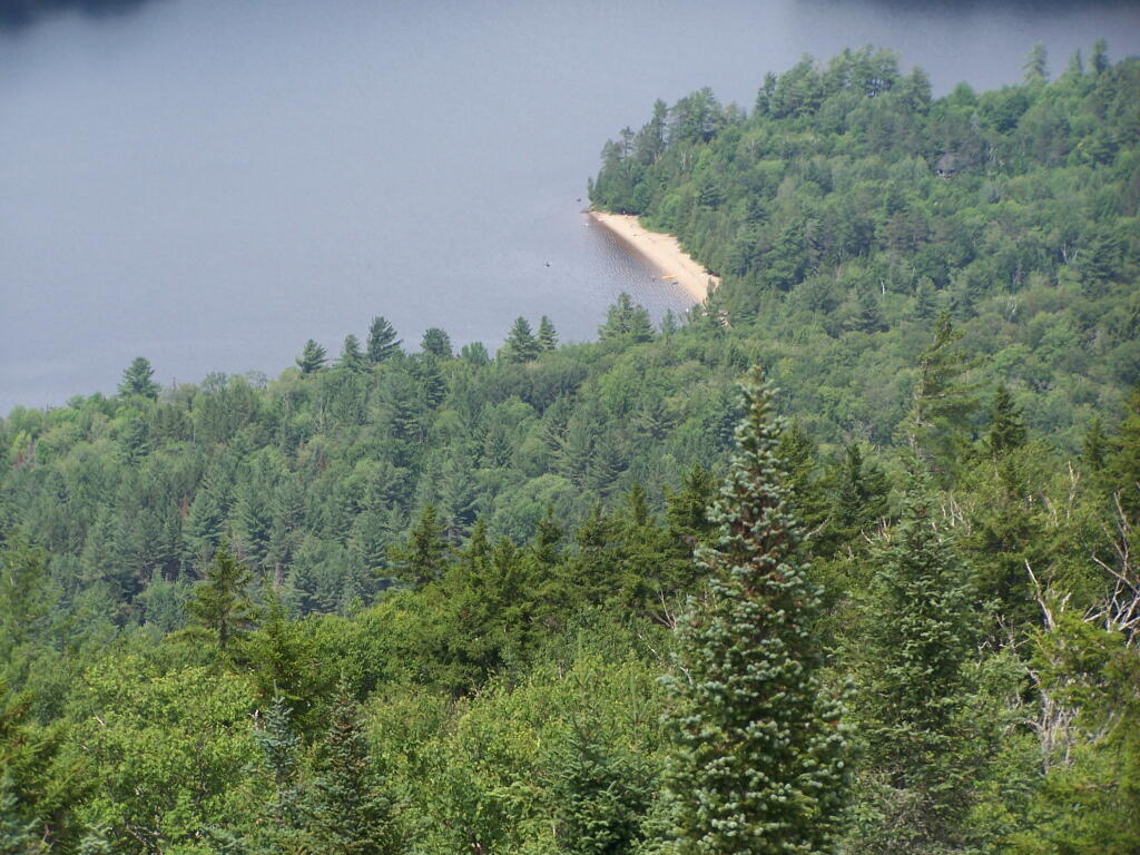 Photo: Edge of Rich Lake