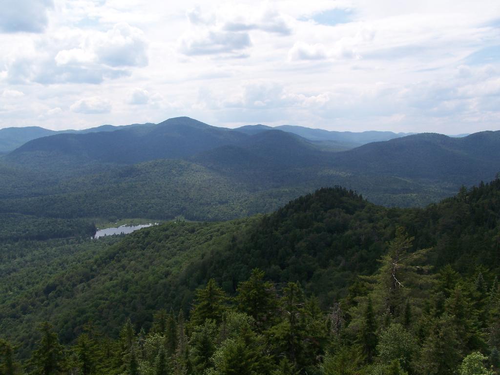 Photo: West from Tower