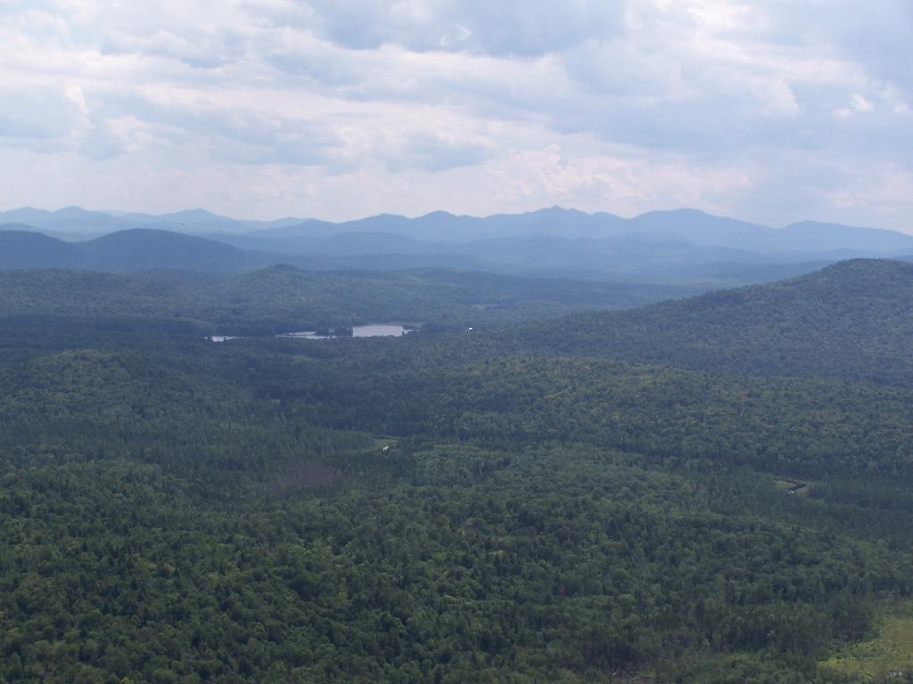 Photo: South from Tower