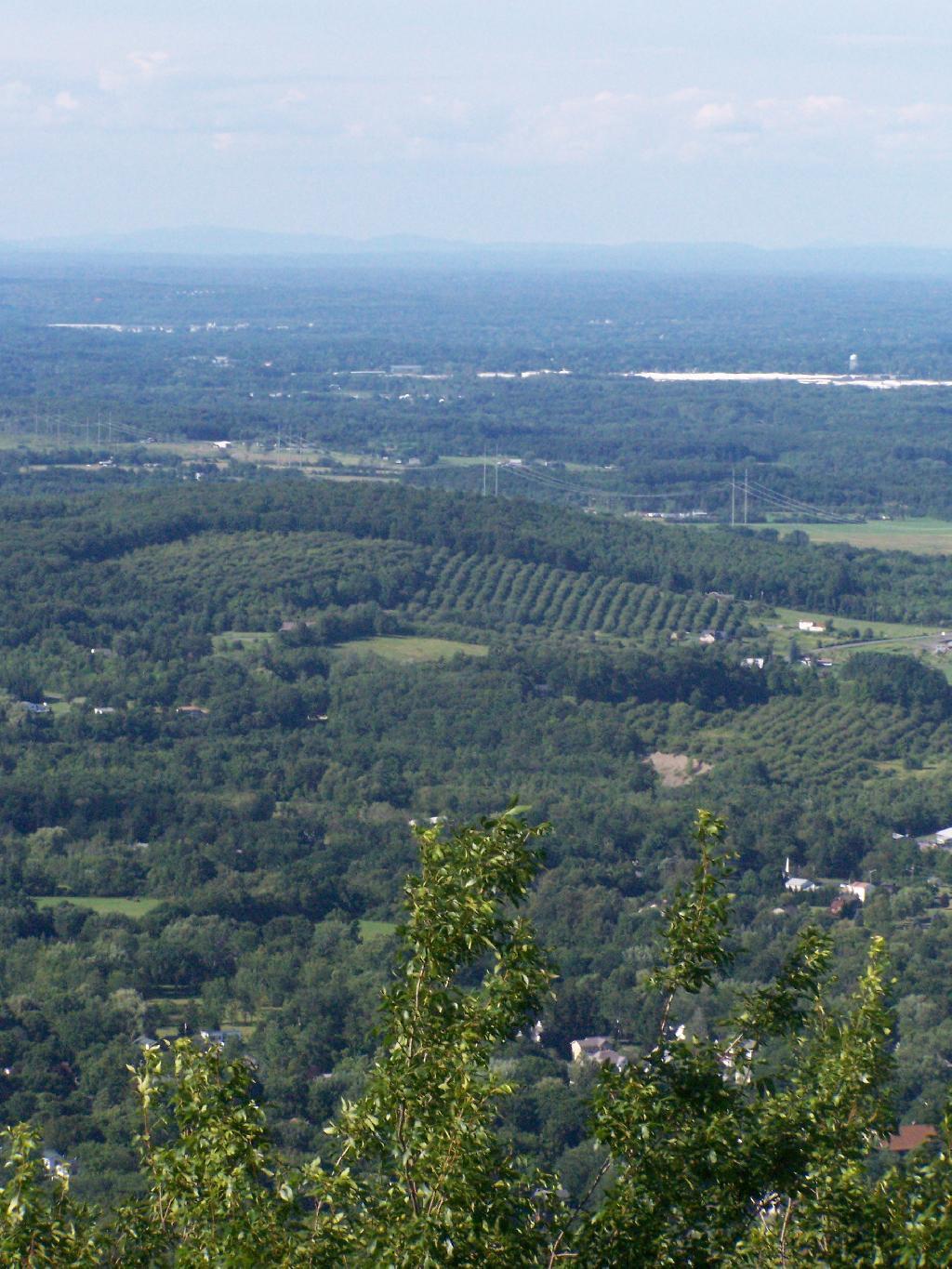 Photo: Altamont Orchards Photo: Altamont Orchards