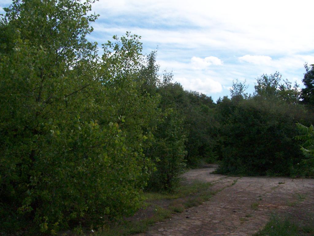 Photo: Blue Stone Mine on Carrick Road Photo: Blue Stone Mine on Carrick Road