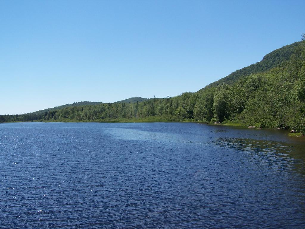 Photo: Edge of Cedar River Flow Photo: Edge of Cedar River Flow