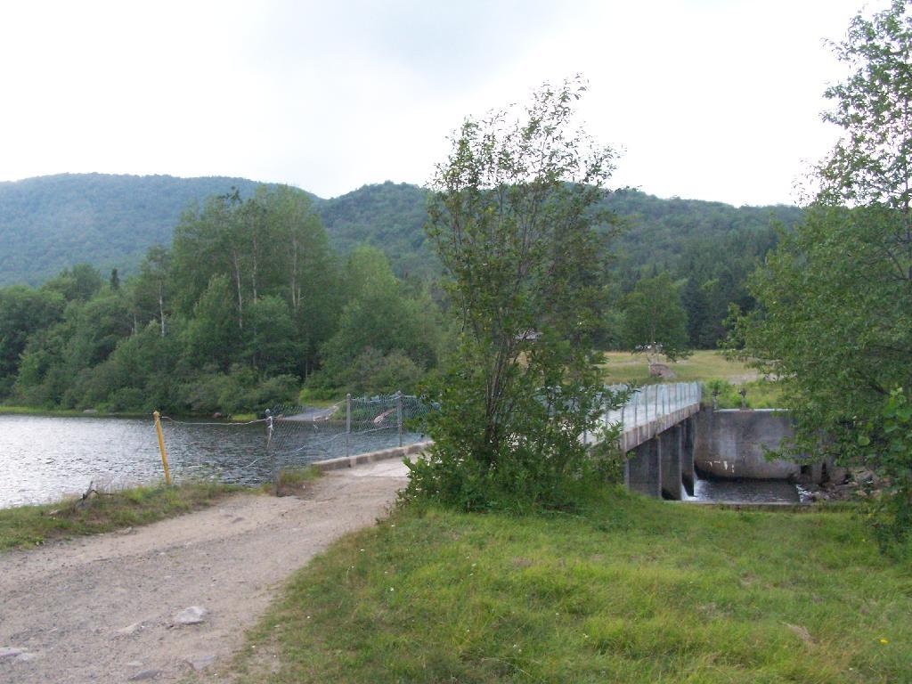 Photo: Bridge Over Cedar River