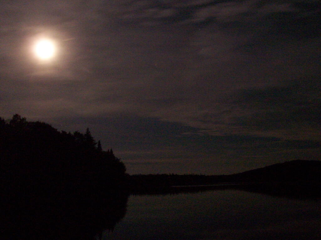 Photo: Moonlight on Cedar River Flow
