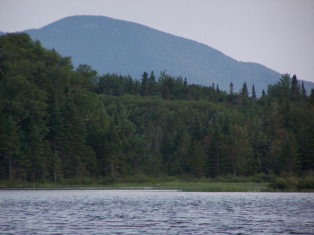 Photo: Buck Mountain Photo: Buck Mountain