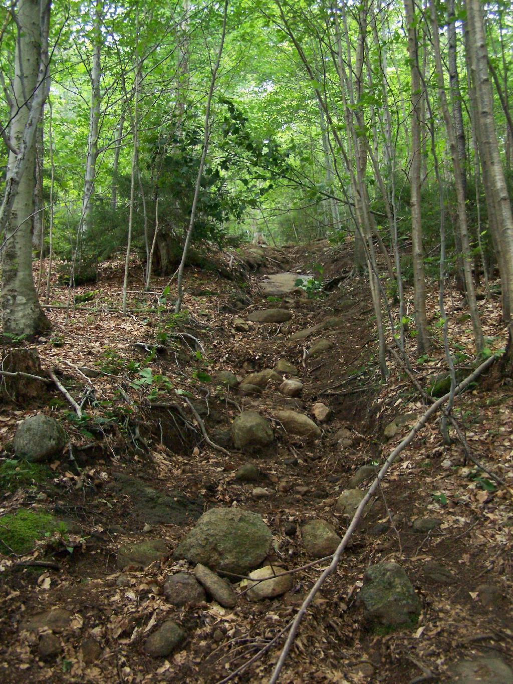 Photo: Badly Eroded Wakley Mountain Trail