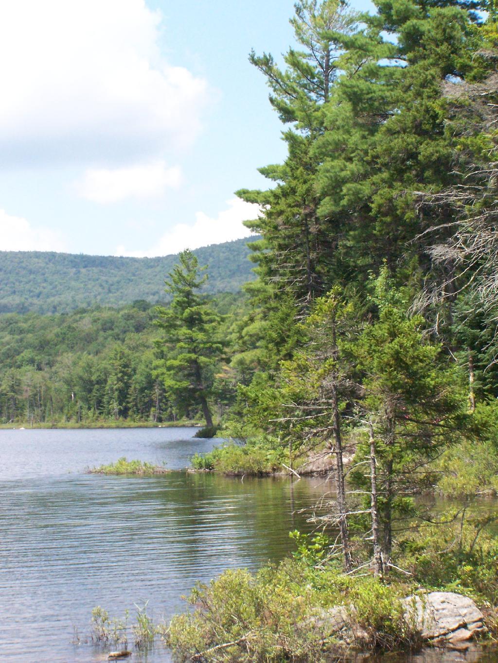 Photo: Wakely Pond