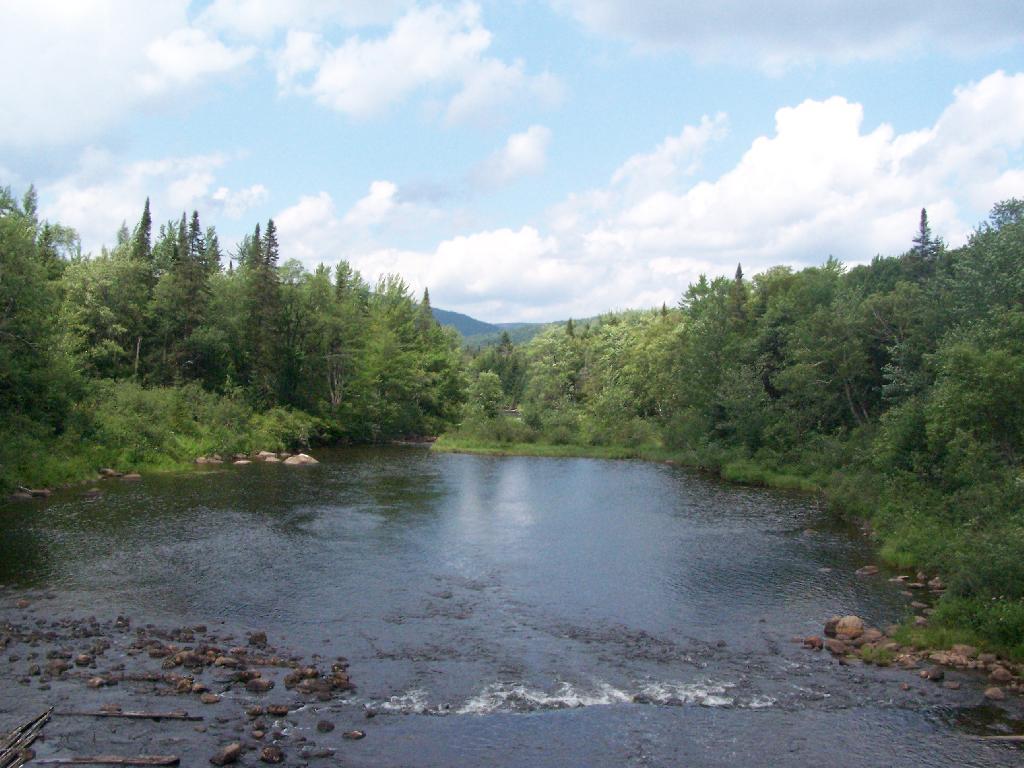 Photo: Cedar River Past Dam