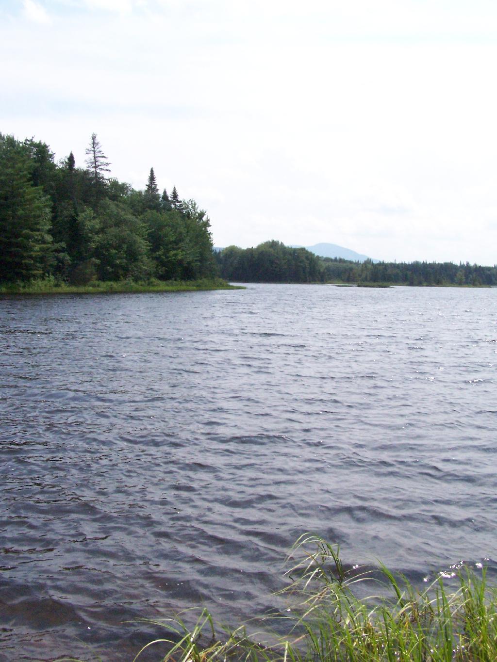 Photo: Across Cedar River Flow