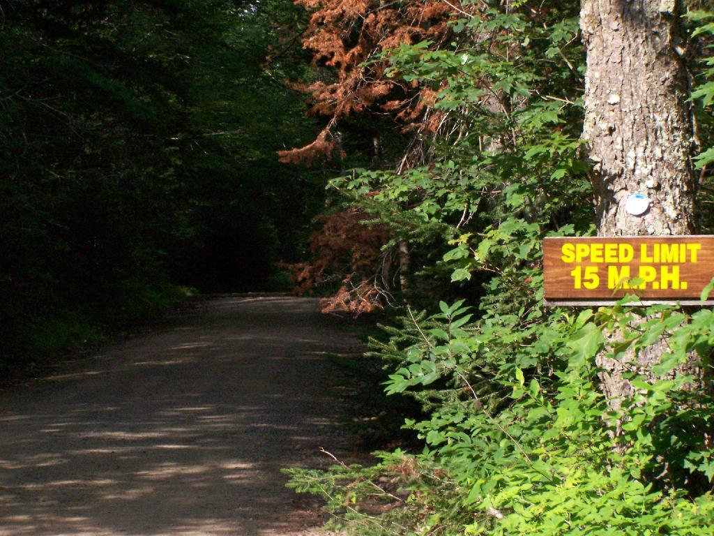 Photo: Speed Limit 15 MPH