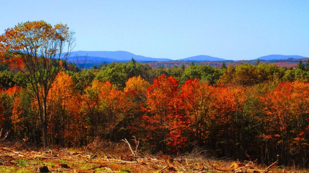 Photo: Northwestern Catskills Photo: Northwestern Catskills