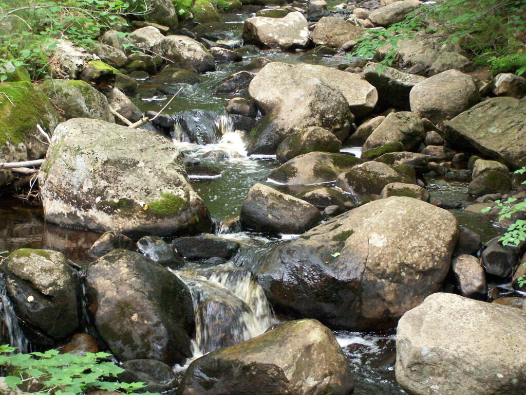 Photo: Un-named Brook Coming Off Sturges Hills Photo: Un-named Brook Coming Off Sturges Hills