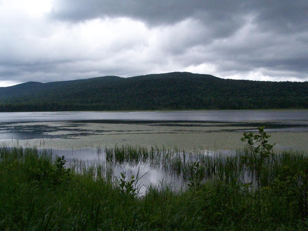 Photo: Across Cedar River Flow