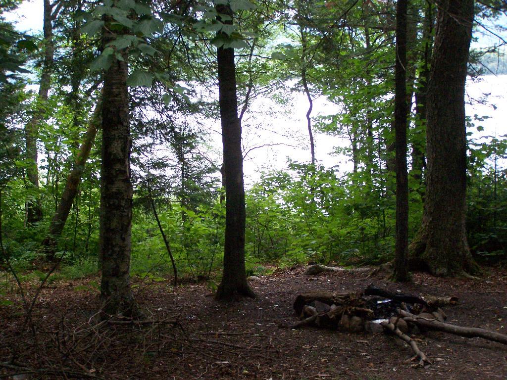 Photo: Canoe or Backpack Site Along Cedar River Flow