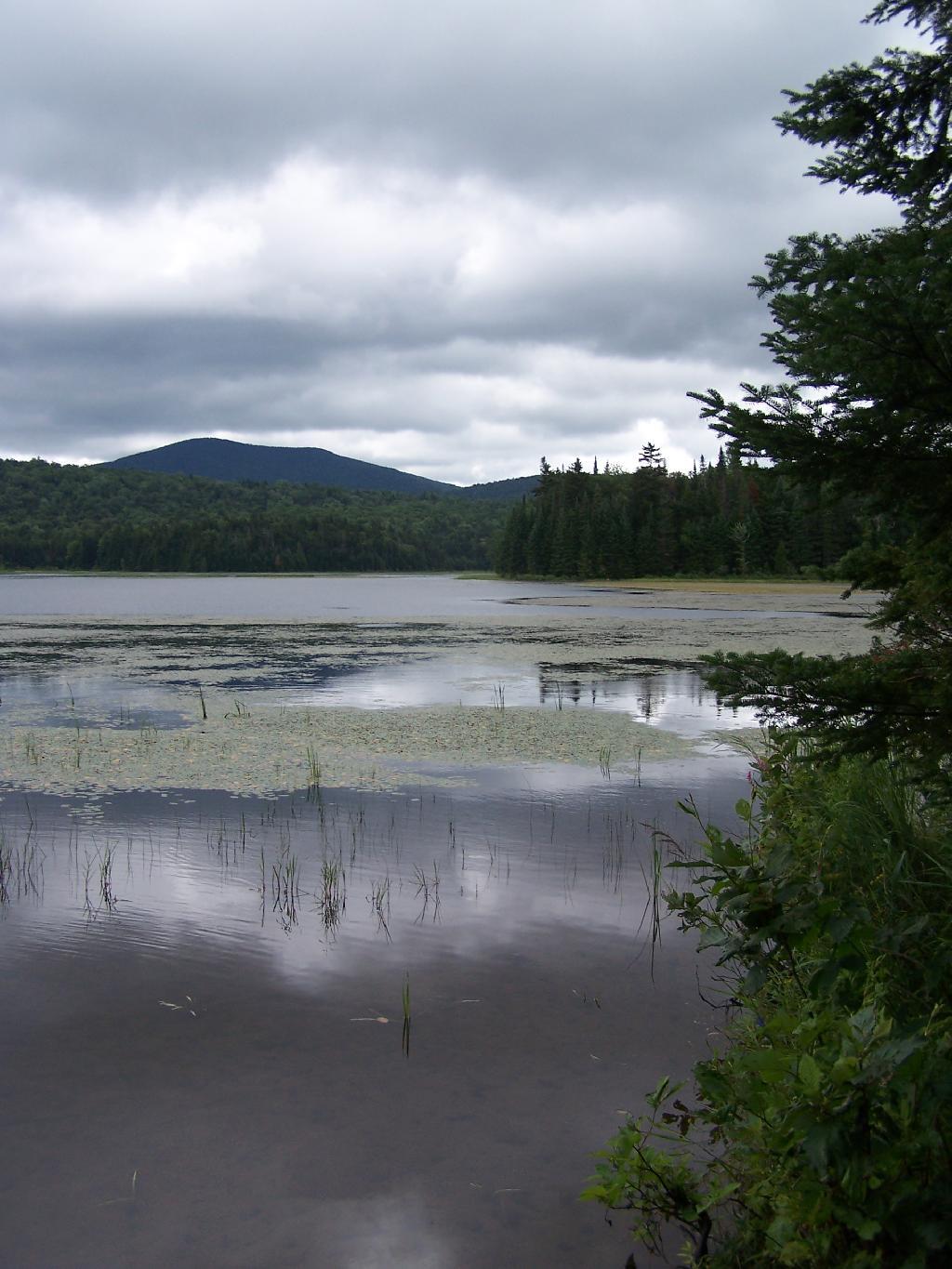 Photo: Edge of Cedar River Flow