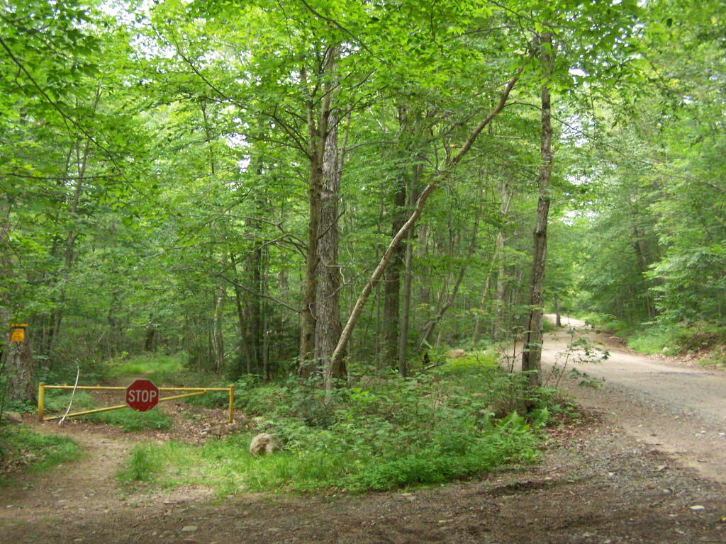 Photo: NTP Trail at Moose River Road
