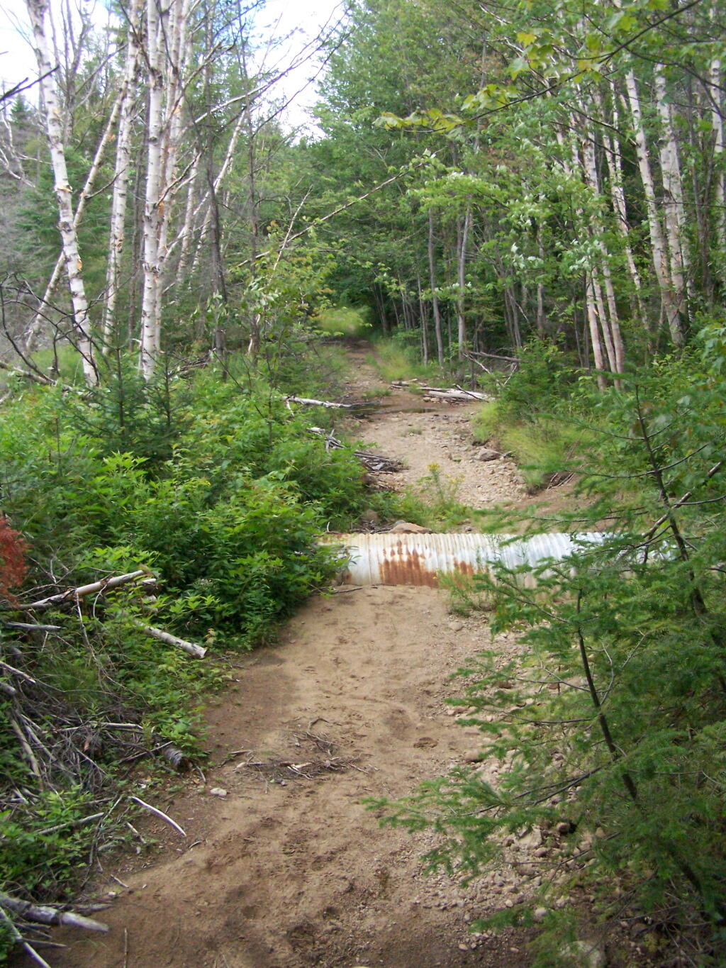 Photo: Washed Out Road to Wakely Mountain Photo: Washed Out Road to Wakely Mountain