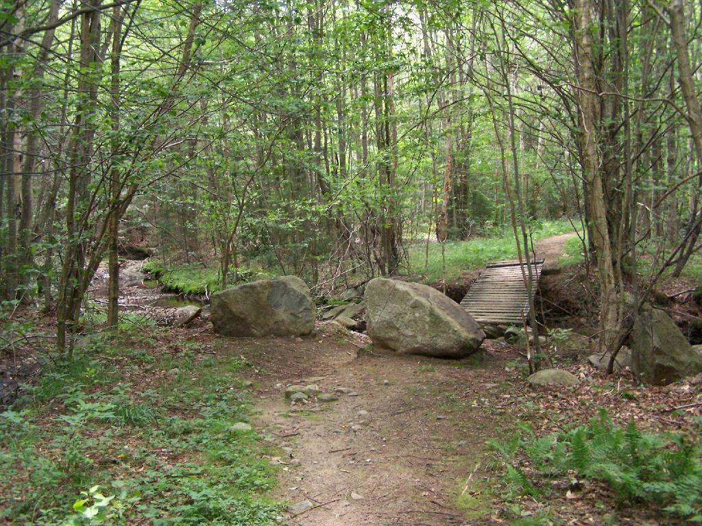 Photo: The End of Wakely Road