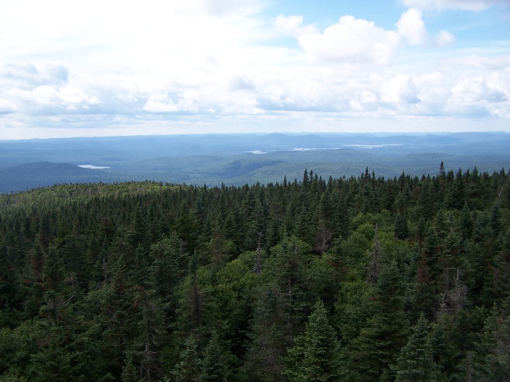 Photo: Blue Ridge Wilderness